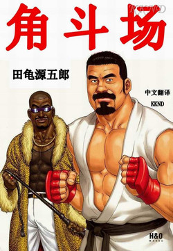 Download 闘技場～アリーナ