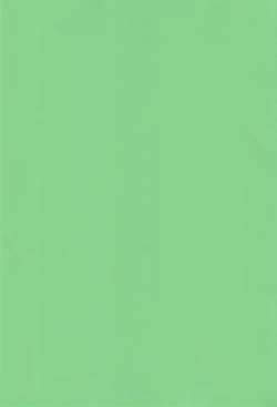 Page 2 of Buon appetito !