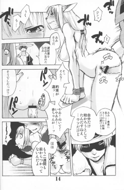 Page 13 of Gedoh XI-4