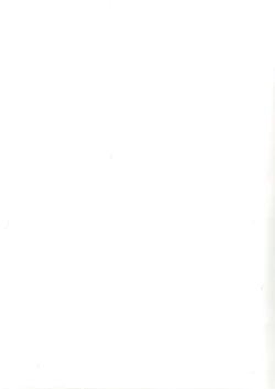 Page 15 of DF no Hon