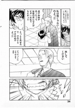 Page 35 of Seiken Cinderella