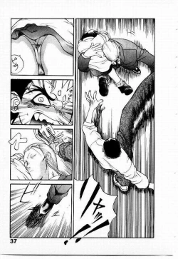 Page 38 of Seiken Cinderella