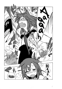 Page 16 of go mushrooming