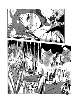 Page 25 of go mushrooming