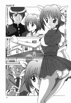 Page 41 of Seijunha Kougyakukei