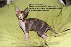 Page 29 of This LOVE#88