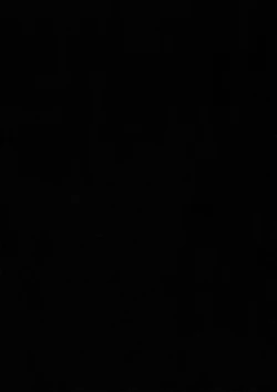 Page 4 of Usagi no Tane