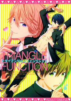 Download TRIANGLE FUNCTION ver. DT
