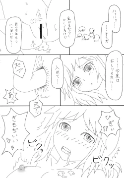 Page 24 of THE DON'T FOOD THEM. STRAP IT ON.