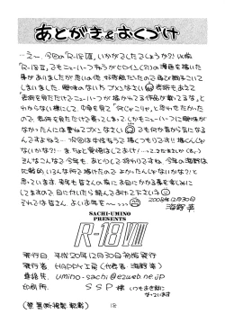 Page 17 of R-18 VIII