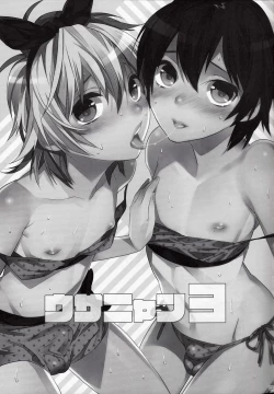 Page 2 of Usa Nyan 3