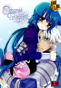 Page 1 of Snow Rabbit