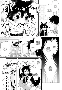 Page 5 of Robo Neko no Shitsukekata