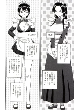 Page 191 of Roshutsukyou Hentai Hakusho