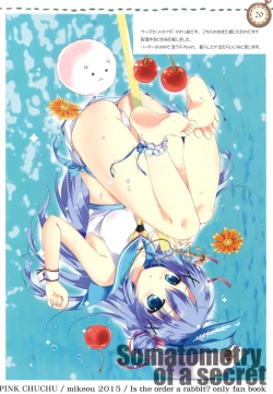 Page 19 of Naisho no Shintai Sokutei