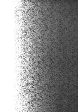 Page 27 of Kirei na Ou-sama Okinodoku