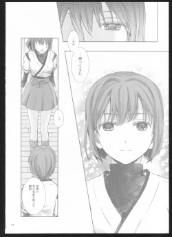 Page 43 of Yakan Hikou