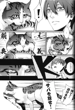 Page 5 of SUMMER DREAM