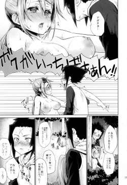 Page 23 of Apfelwein