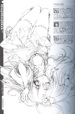 Page 2 of Rough Rough Book XP