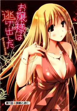 Page 7 of Ojou-sama wa Nigedashita 1 | 大小姐逃家出走記 1