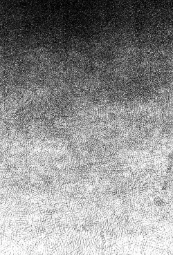 Page 87 of Ojou-sama wa Nigedashita 2 | 大小姐逃家出走記 2