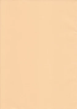 Page 23 of Fukugyo no Susume