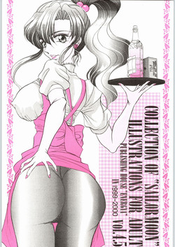 Download COLLECTION OFILLUSTRATIONS FOR ADULT Vol.4.5