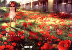 Page 1 of Fragmental