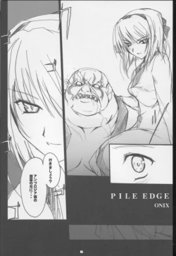 Page 4 of PILE EDGE