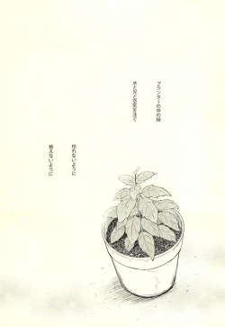 Page 2 of 果実は1日にして成らず