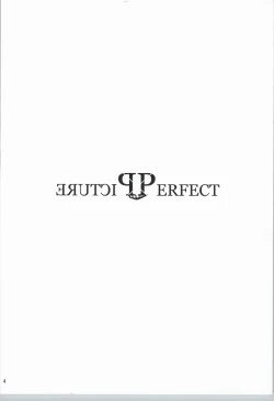 Page 2 of ピクチャー・パーフェクト