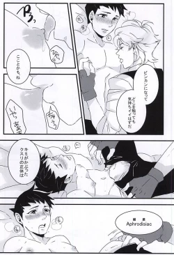 Page 13 of ホンネトオクスリ