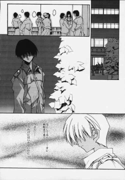 Page 23 of CompleX Pack