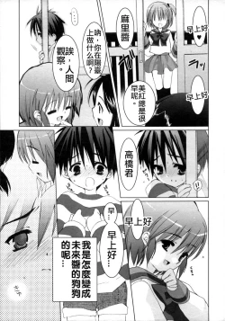 Page 9 of Goshujin-sama to Chappie | 主人和恰比