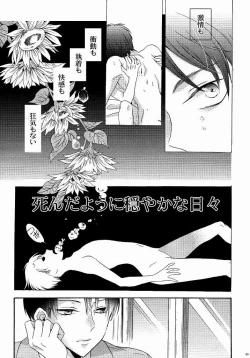 Page 45 of 向日葵の咲く冬