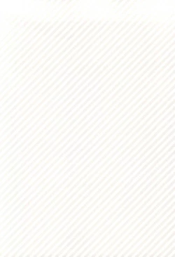 Page 11 of Birthday Limited.