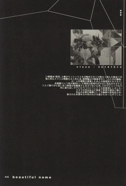 Page 13 of insignis blue