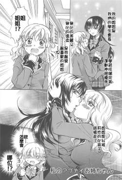 Page 17 of Watashi no Ikenai Oneechan + Watashi no Itoshii Onee-chan