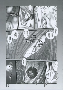 Page 14 of Yoru ni Sakimidareru...