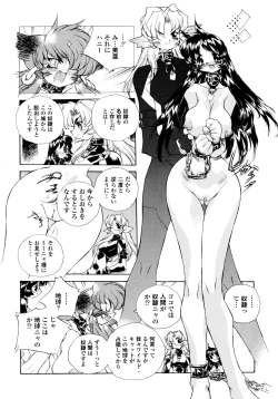 Page 168 of Wildcat Pirates!