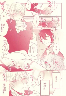 Page 10 of Kaikan Flight