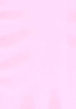 Page 3 of Koishi-chan no Ecchi na Hon.