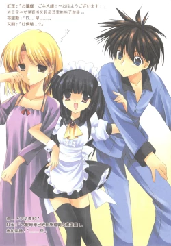 Page 18 of 二つの月。魔法の世界