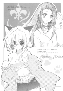 Page 14 of ANGEL ARMS