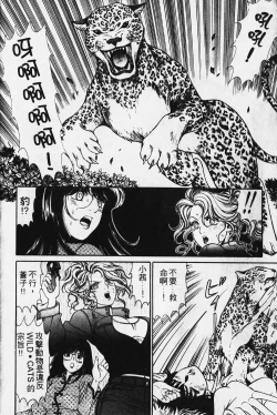 Page 143 of Wild Cats | 性感小野貓