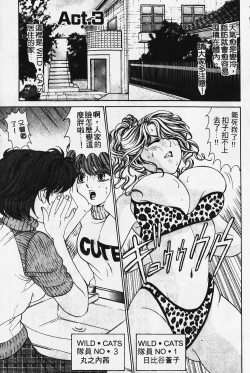 Page 52 of Wild Cats | 性感小野貓