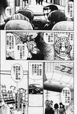 Page 56 of Wild Cats | 性感小野貓