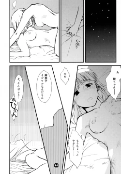 Page 14 of Samplitude;