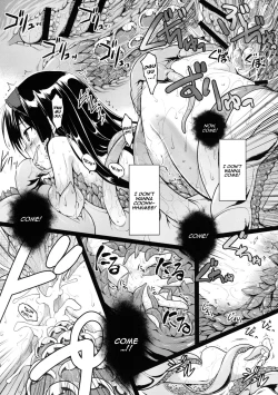 Page 36 of LOTUS BREAKDOWN